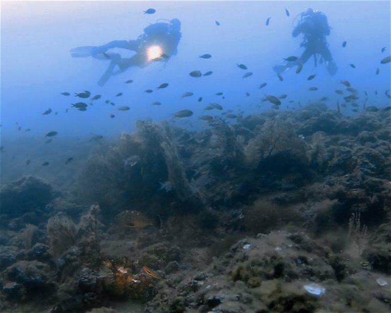Divesite Image