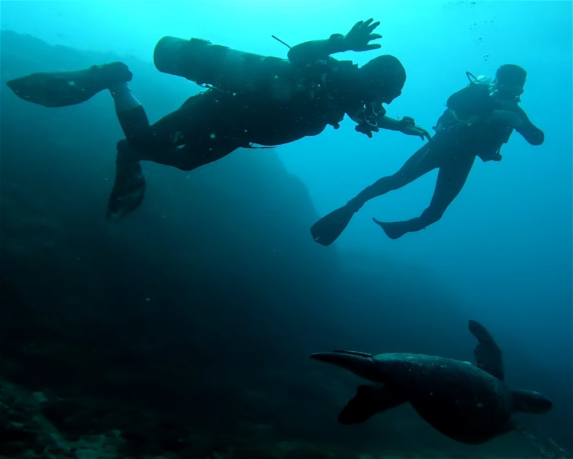 ChrisDiving, Dive Center Costa Rica, 50304 Playa Potrero