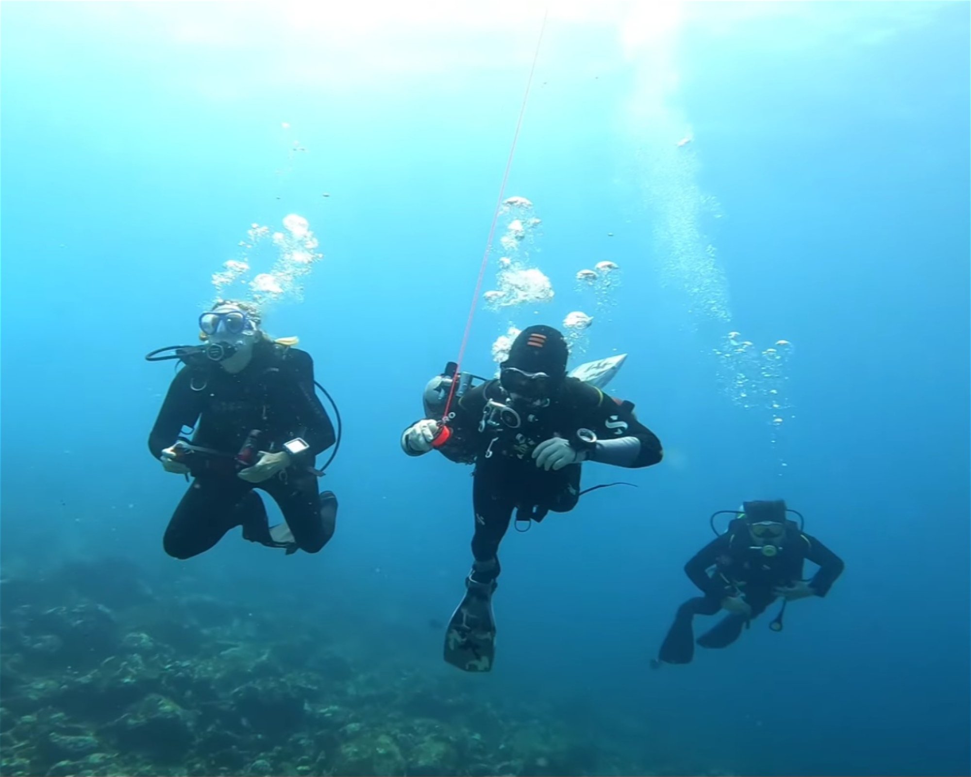 ChrisDiving, Dive Center Costa Rica, 50304 Playa Potrero