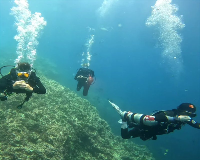 Divesite Image