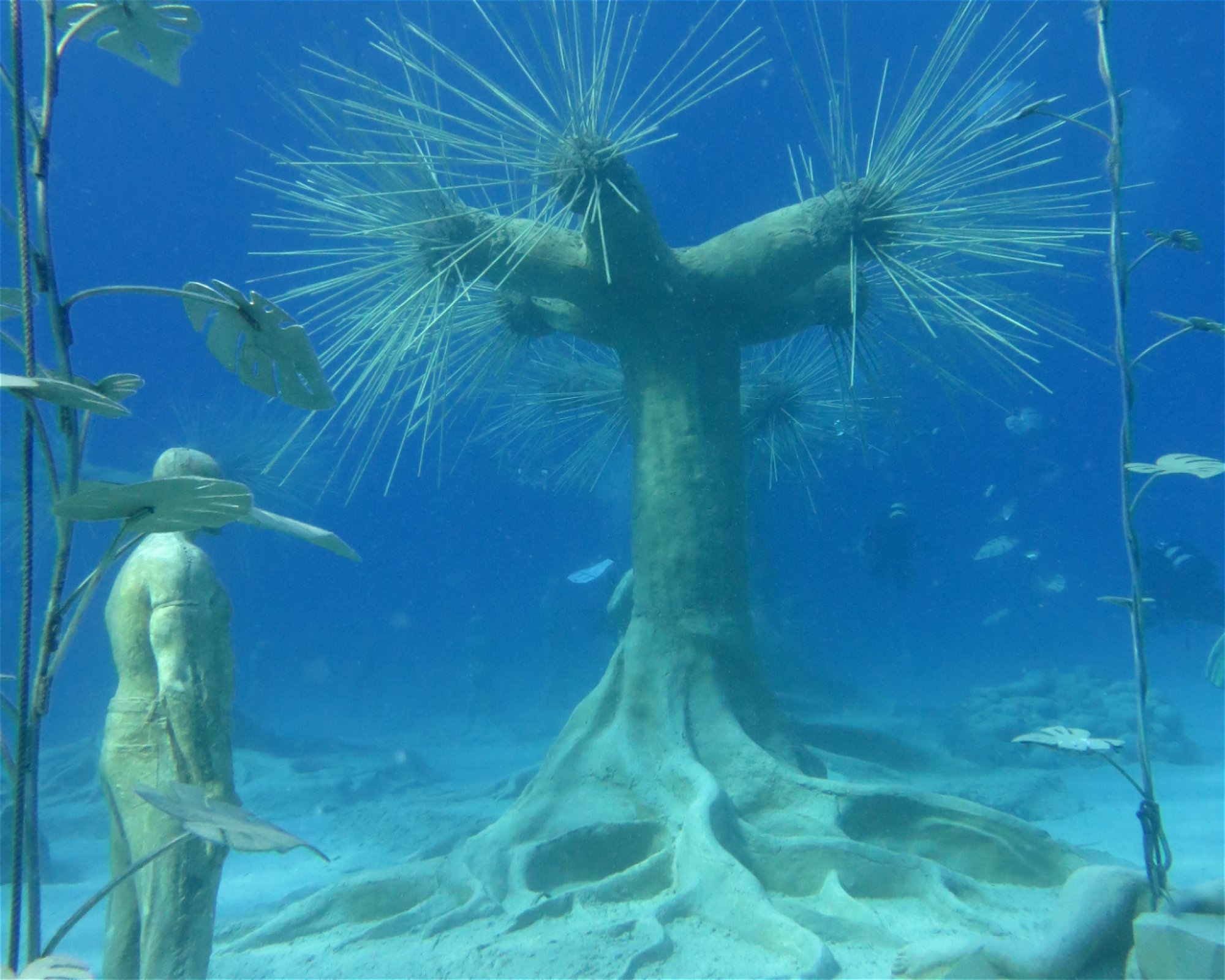 Poseidon Dive Centre, 5296 Paralimni