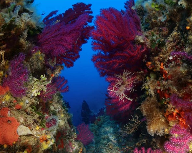 Divesite Image