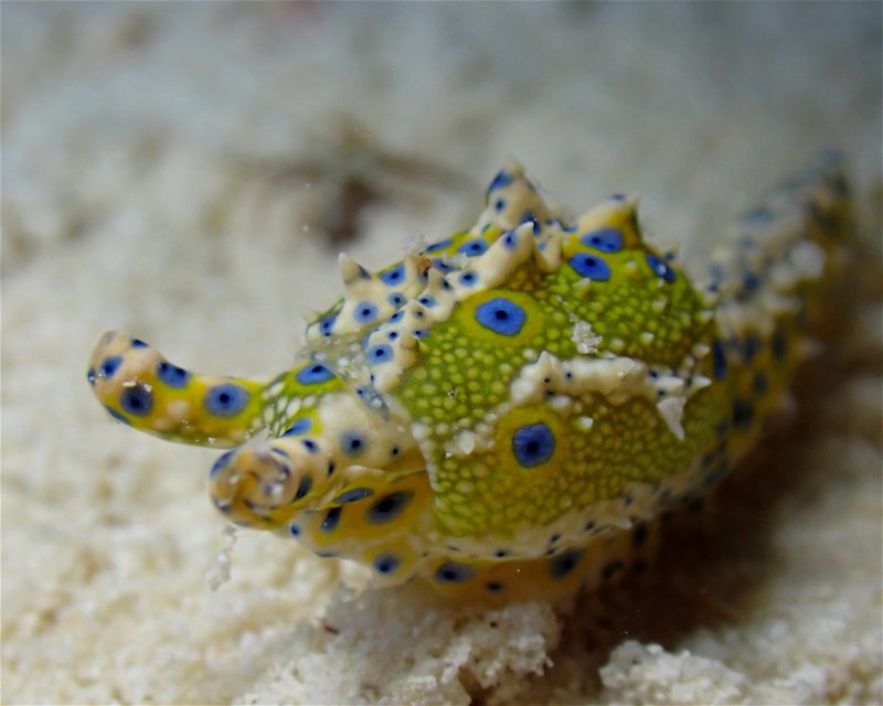 Divesite Image