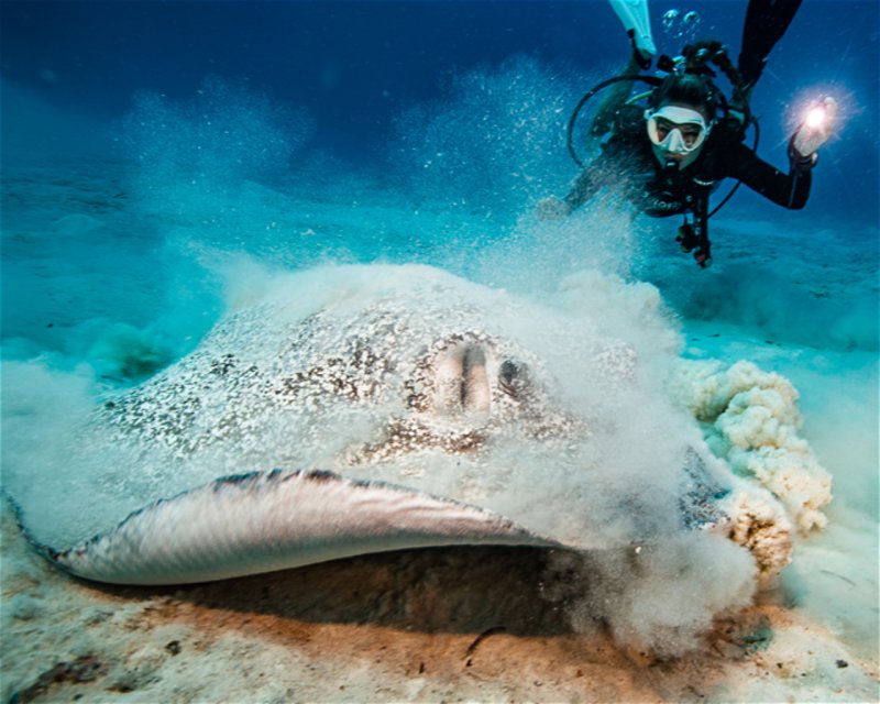 Divesite Image