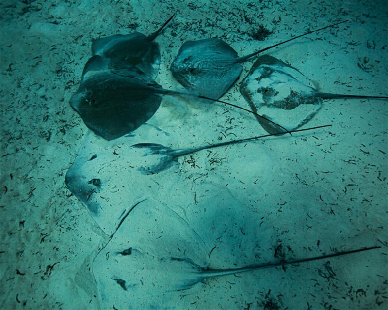 Divesite Image