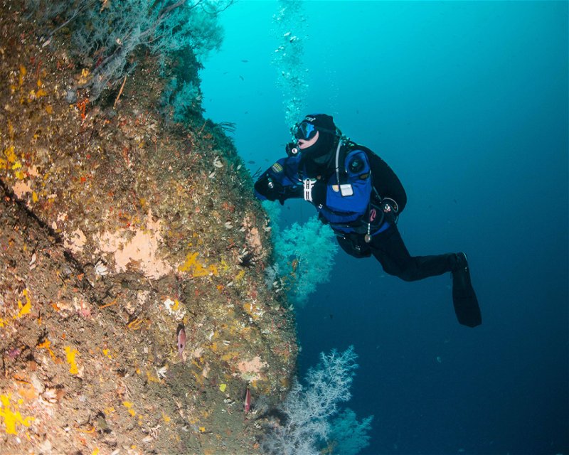 Divesite Image