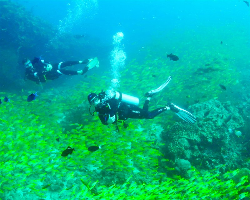 Divesite Image