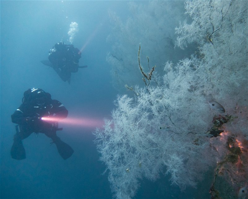 Divesite Image