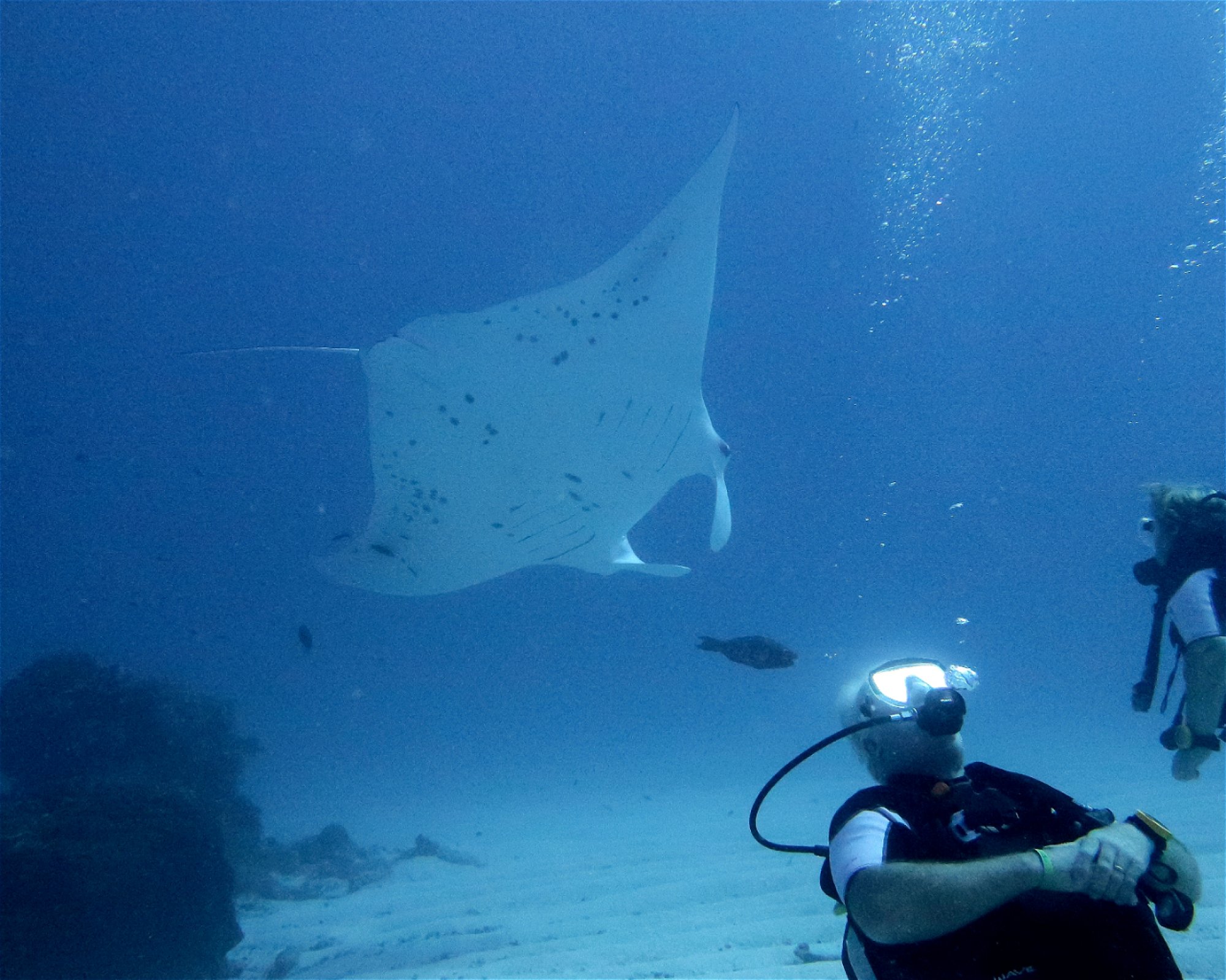 DivePoint Meedhupparu, Meedhupparu