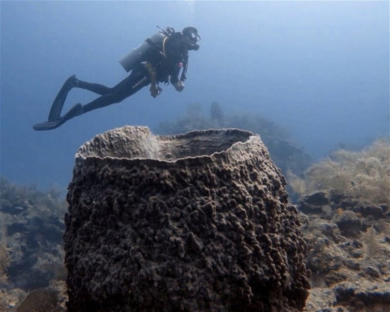 Divesite Image