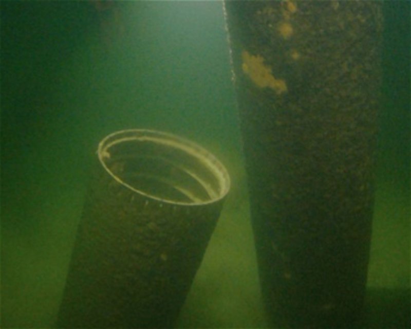 Divesite Image
