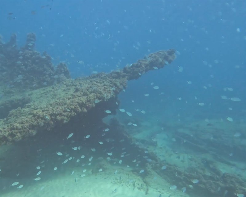 Divesite Image