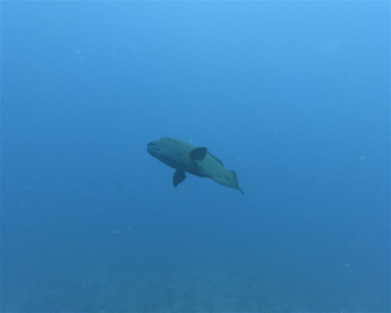 Divesite Image