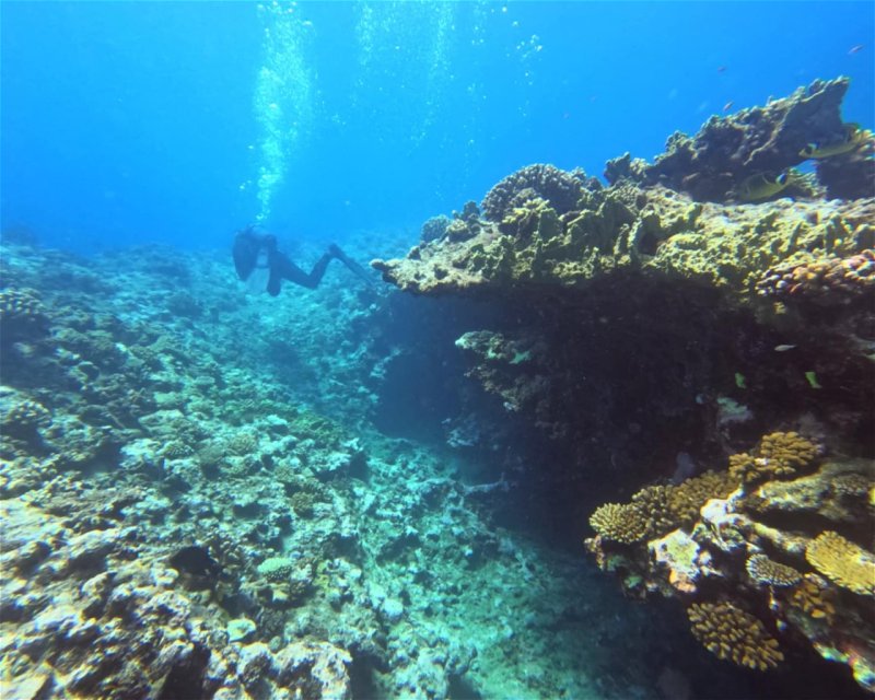 Divesite Image