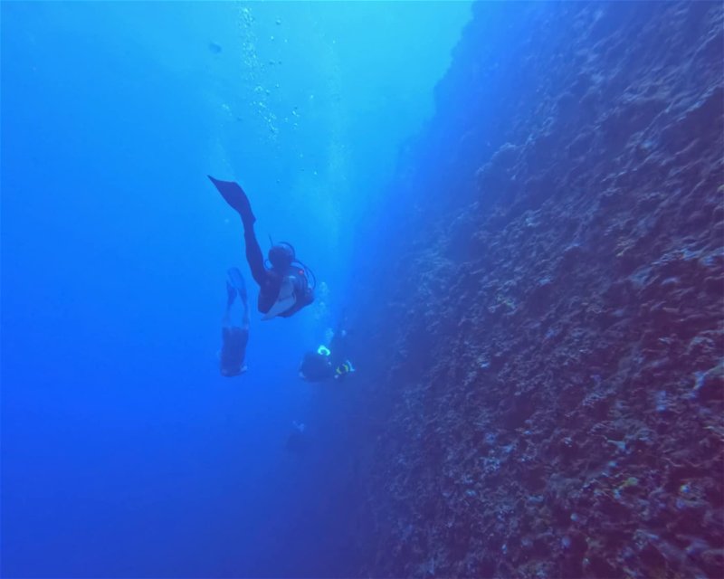 Divesite Image