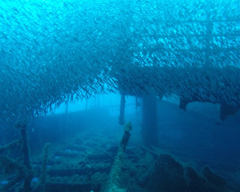 Divesite Image