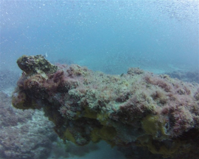 Divesite Image