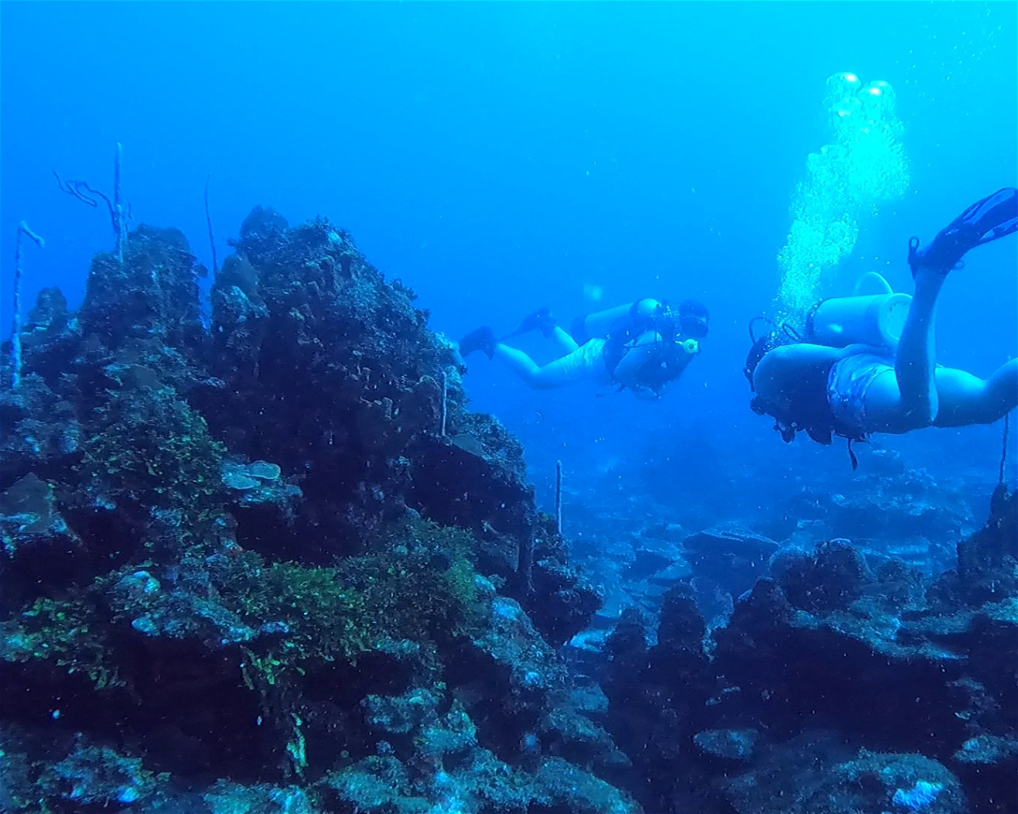 Centro de Buceo Rincon del Mar, 707010 San Onofre