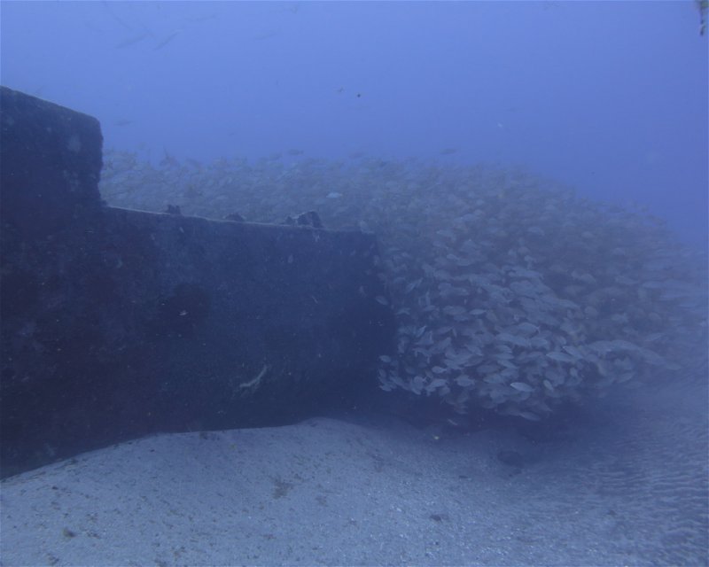 Divesite Image