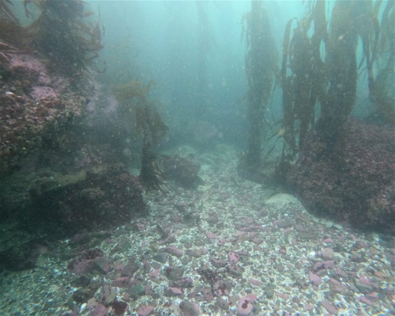 Divesite Image