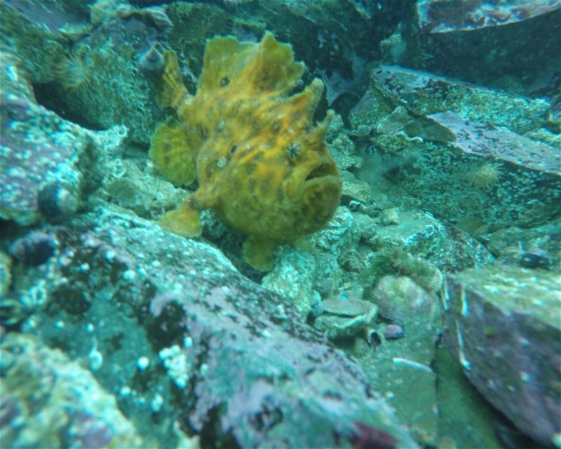 Divesite Image