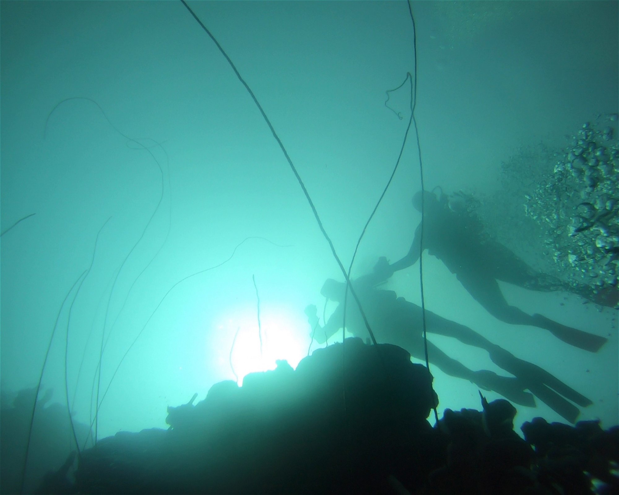 Centro de Buceo Rincon del Mar, 707010 Rincon (San Onofre), Sucre
