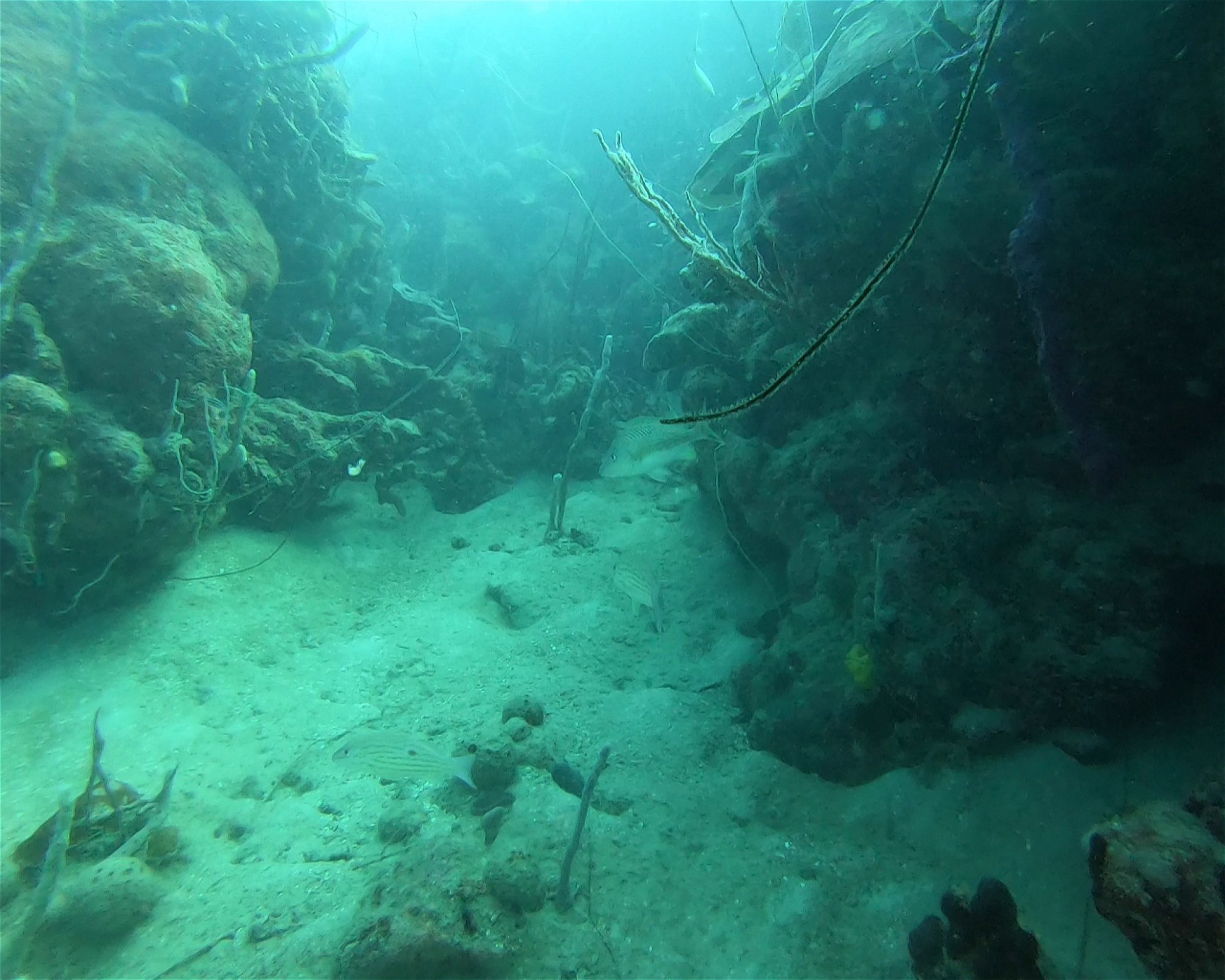Centro de Buceo Rincon del Mar, 707010 Rincon (San Onofre), Sucre
