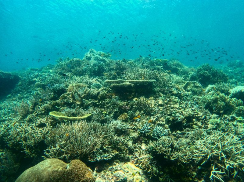 Divesite Image