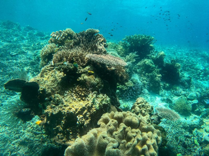 Divesite Image