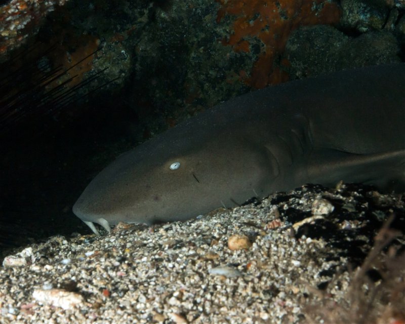 Divesite Image