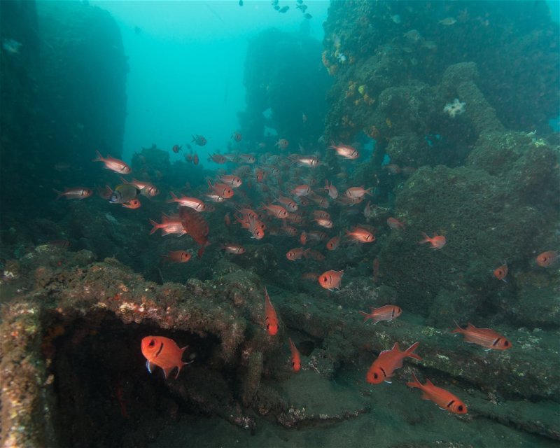Divesite Image