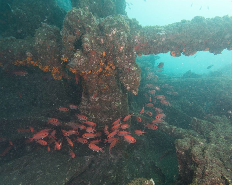 Divesite Image
