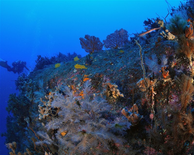 Divesite Image