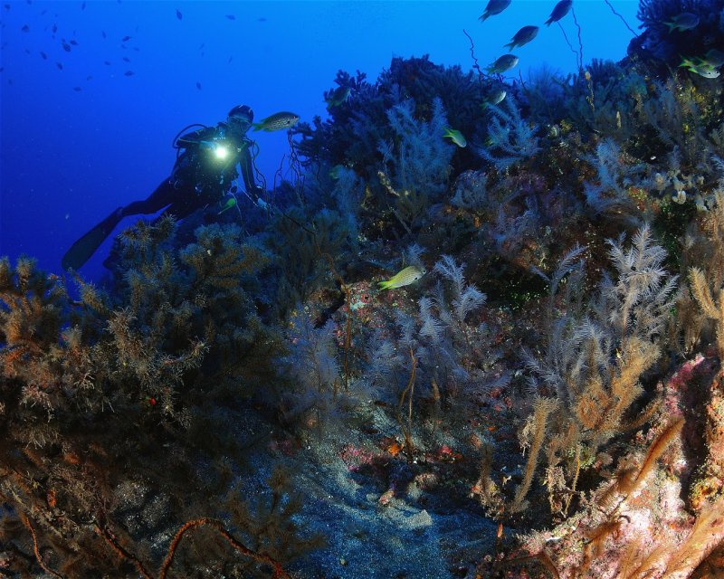Divesite Image
