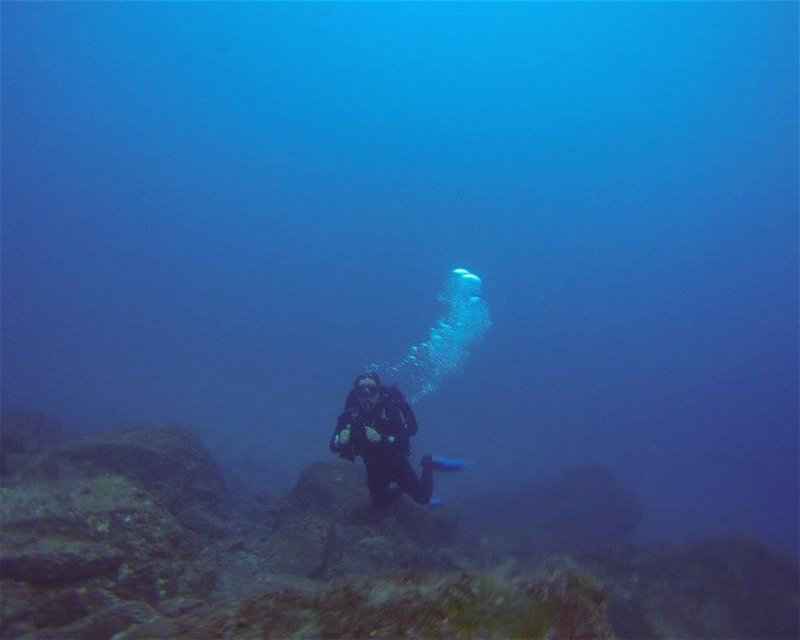 Divesite Image