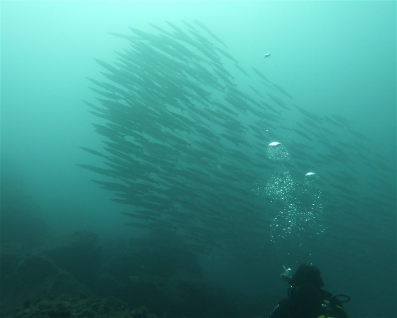 Divesite Image
