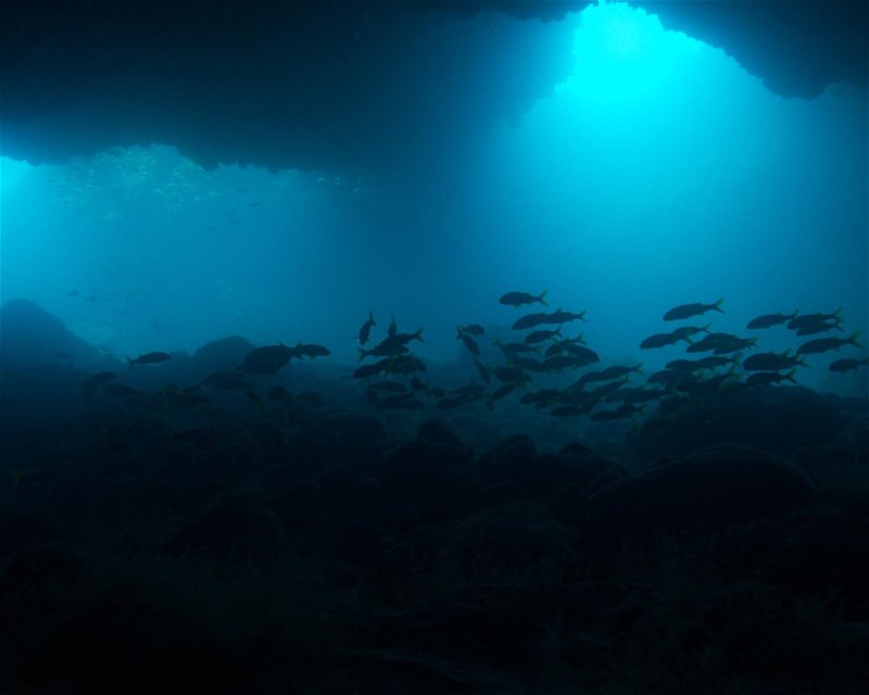 Divesite Image