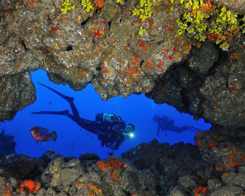 Divesite Image
