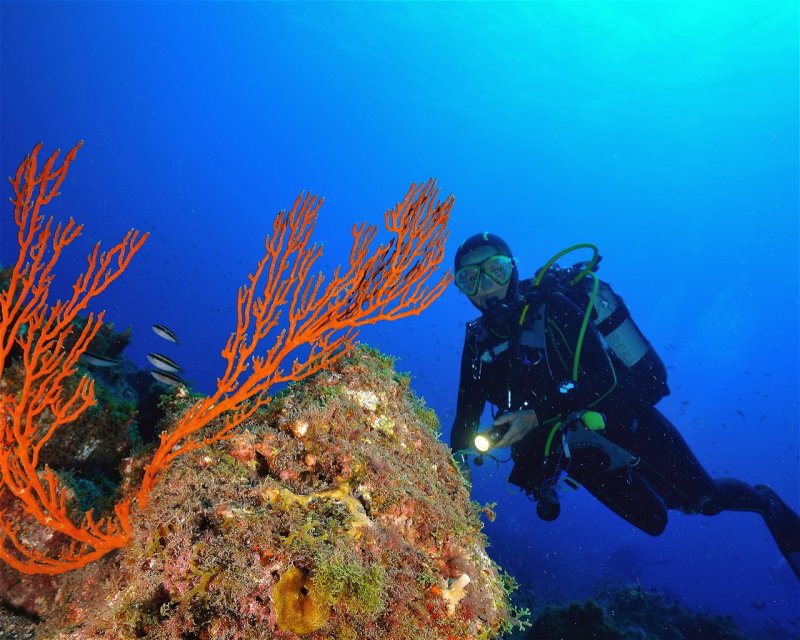 Divesite Image