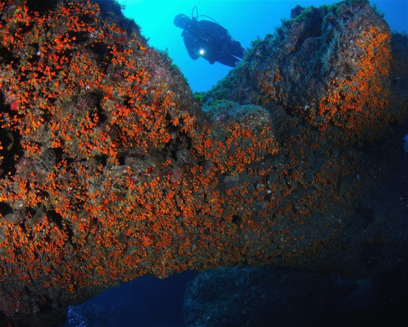 Divesite Image