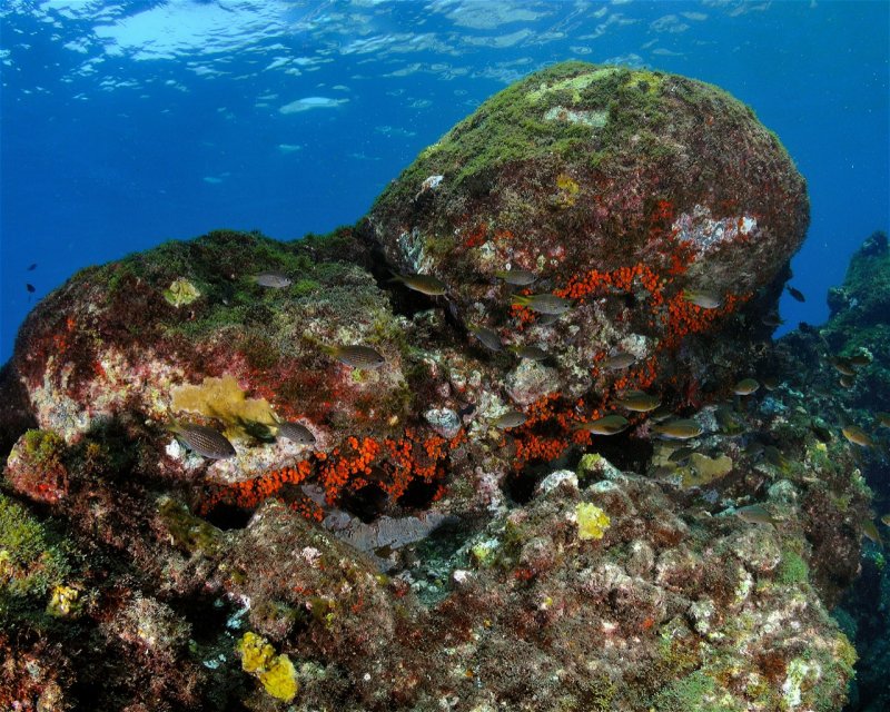 Divesite Image