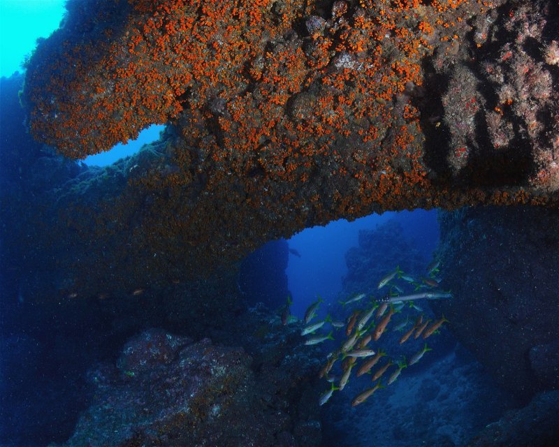 Divesite Image
