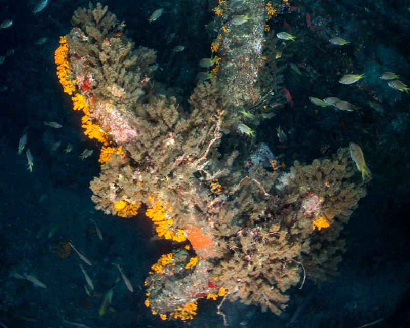 Divesite Image