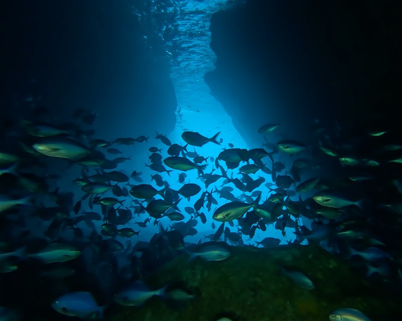 Divesite Image