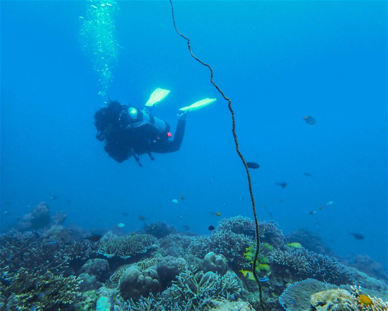 Divesite Image