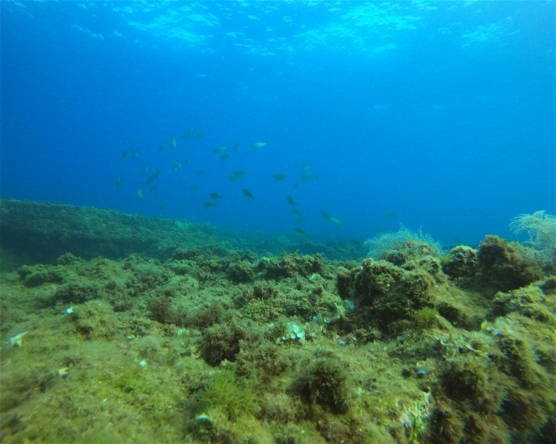 Divesite Image