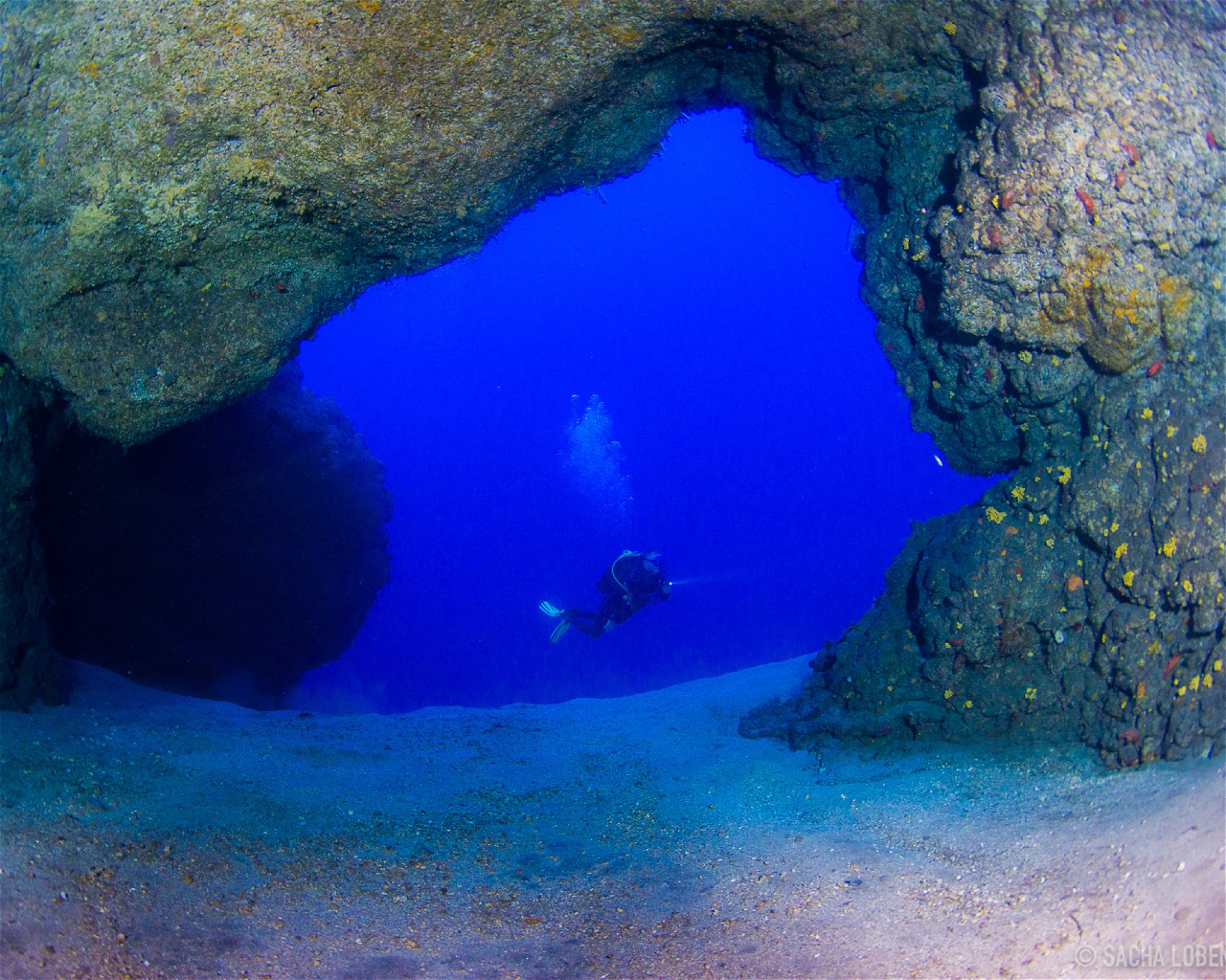 MACARONESIAN DIVERS, 38109 El Rosario
