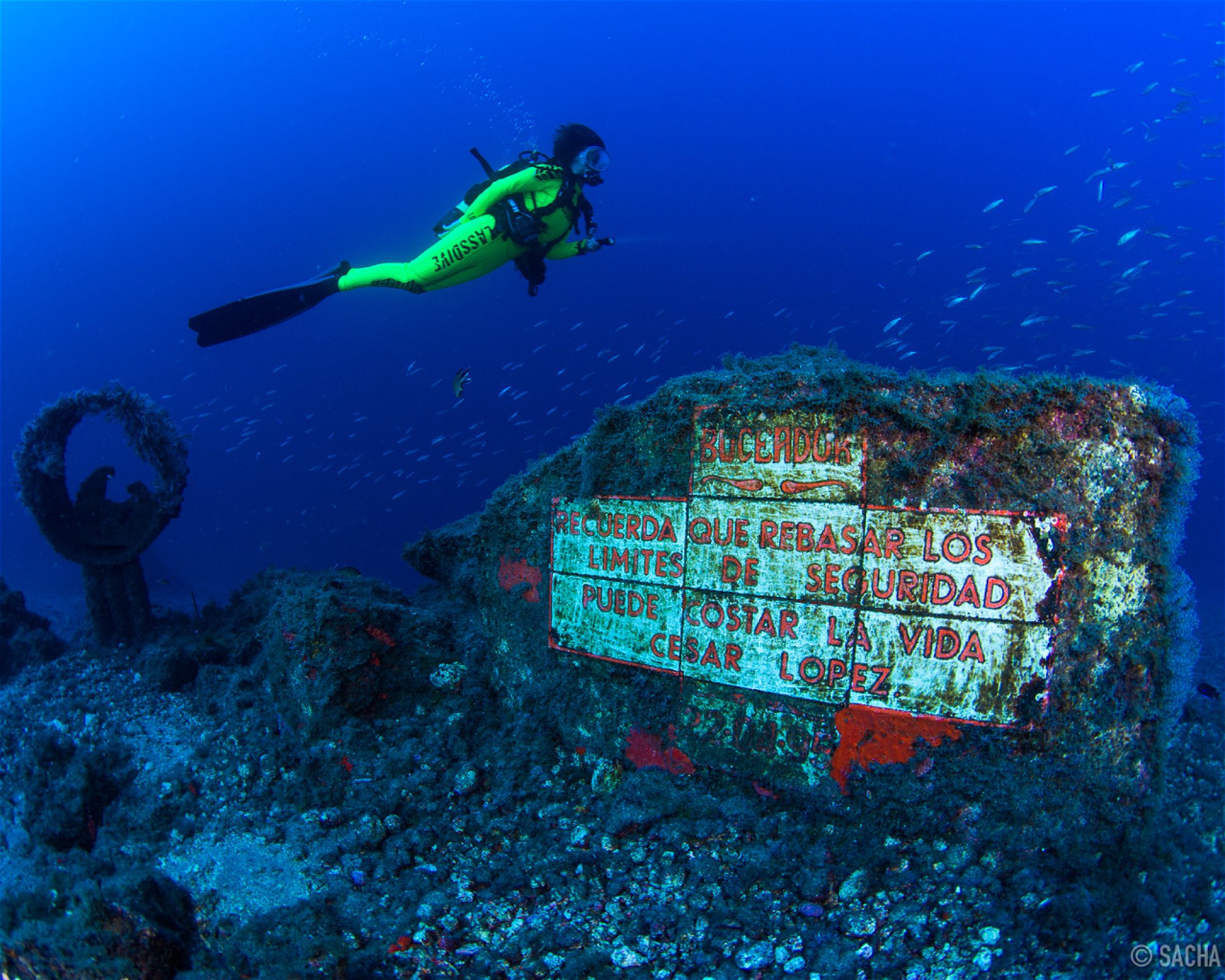 MACARONESIAN DIVERS, 38109 El Rosario