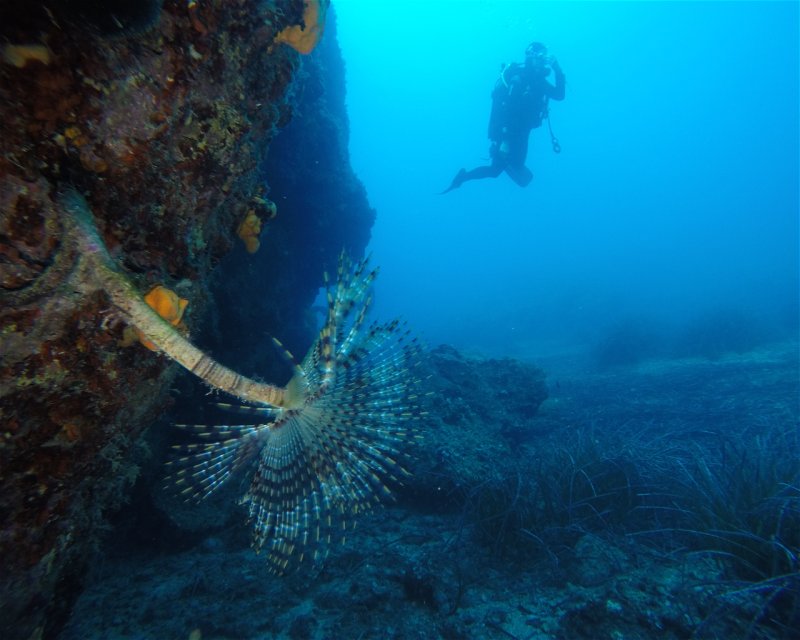 Divesite Image