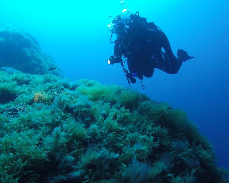 Divesite Image